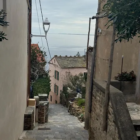 Lägenhet Cosy Dans Les Ruelles De Pietranera San-Martino-di-Lota